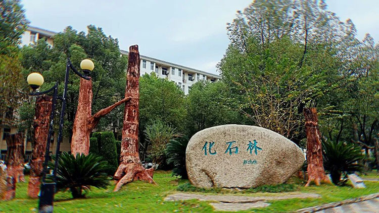 中國(guó)地質(zhì)大學(xué)(武漢)-地大熱能 中國(guó)地質(zhì)大學(xué)(武漢)-地大熱能