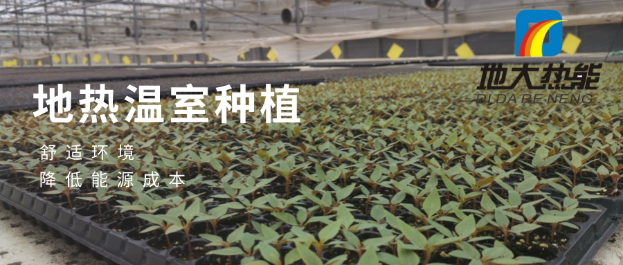 地?zé)徂r(nóng)業(yè)養(yǎng)殖:溫泉水養(yǎng)蝦-地大熱能-地?zé)衢_(kāi)發(fā) 地?zé)徂r(nóng)業(yè)養(yǎng)殖:溫泉水養(yǎng)蝦-地大熱能-地?zé)衢_(kāi)發(fā)