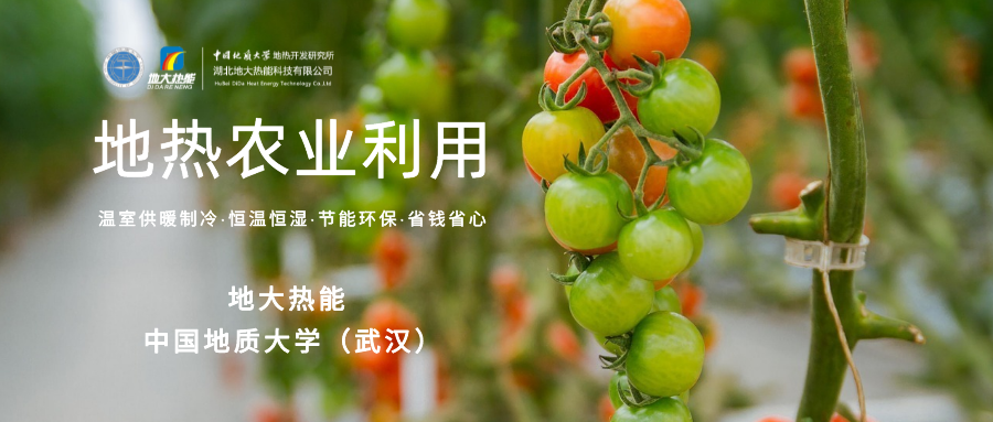 利用地?zé)峤鉀Q糧食生產(chǎn)問(wèn)題并促進(jìn)發(fā)展-地?zé)豳Y源開發(fā)利用-地大熱能 利用地?zé)峤鉀Q糧食生產(chǎn)問(wèn)題并促進(jìn)發(fā)展-地?zé)豳Y源開發(fā)利用-地大熱能